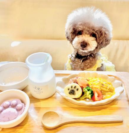 91%の飼い主が愛犬の熱中症を心配。猛暑の夏に、わん 91%の飼い主が愛犬の熱中症を心配。猛暑の夏に、わん
