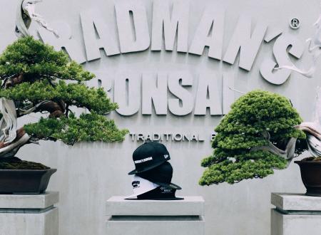 【ニューエラ】日本の盆栽アーティスト集団＜TRADMAN’
