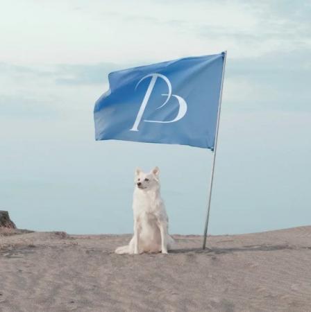 「STANDING ON THE BLUE」Pet博2026福岡に出展- 8月8