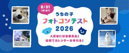 第一アイペット「うちの子フォトコンテスト2026」投稿