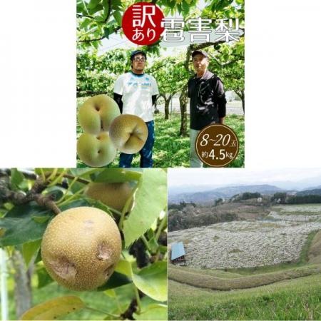 雹被害梨農家の応援につながる訳ありお礼品が「utf-8 雹被害梨農家の応援につながる訳ありお礼品が「utf-8