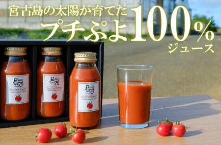 宮古島の太陽が育てた、まるでフルーツのような甘さ。