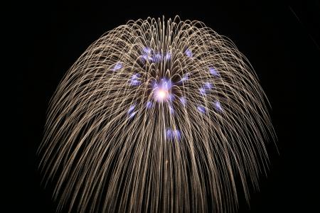 秋吉台観光まつり花火大会、9月5日(土)開催 秋吉台観光まつり花火大会、9月5日(土)開催