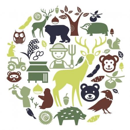 野生動物の被害から地域おこしへ！関係人口を巻き込ん