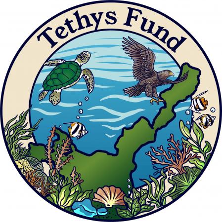 ＜助成先決定＞第2回「Tethys 基金～石垣島・海の教育