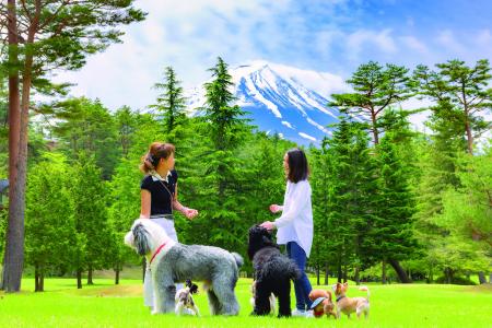 【富士山1合目・標高1,000m】愛犬と一緒にヨガ・BBQ・ 【富士山1合目・標高1,000m】愛犬と一緒にヨガ・BBQ・
