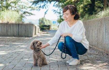 【驚異の目標達成率/約2,498％】犬のしつけ専門店が開
