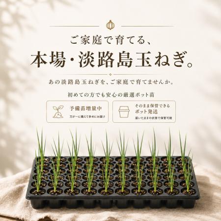 家庭菜園や自家農園で「淡路島玉ねぎ」を育てる贅沢を