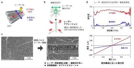 カーボンナノチューブの配向を狙った場所だけ調整する カーボンナノチューブの配向を狙った場所だけ調整する