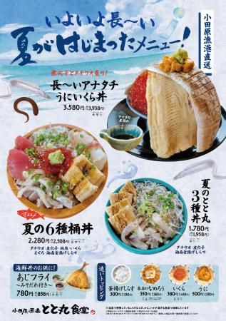いよいよ長~い夏がはじまった! 小田原漁港直utf-8 いよいよ長~い夏がはじまった! 小田原漁港直utf-8