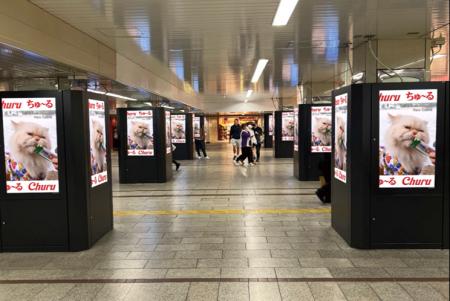 いなばペットフード 大阪御堂筋線なんば駅にて「ちゅ いなばペットフード 大阪御堂筋線なんば駅にて「ちゅ