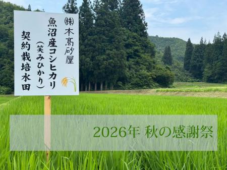 本高砂屋「2026年 秋の感謝祭」を開催 本高砂屋「2026年 秋の感謝祭」を開催