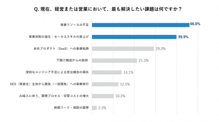 システム開発会社263社調査、46.0%が「営業リソースの システム開発会社263社調査、46.0%が「営業リソースの