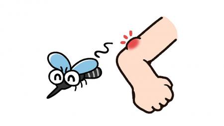 普段、蚊に刺されると思う人は64% 刺されないための 普段、蚊に刺されると思う人は64% 刺されないための
