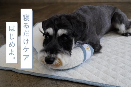 【ペット用リカバリーマットcircule】大切な家族の休 【ペット用リカバリーマットcircule】大切な家族の休