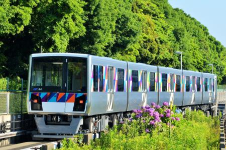 横浜市ふるさと納税 人気返礼品第3弾「横浜シーサイ 横浜市ふるさと納税 人気返礼品第3弾「横浜シーサイ