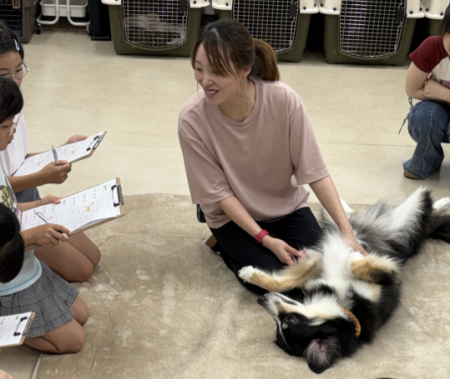 「かわいい」だけでは飼えない。犬の気持ちを知ること 「かわいい」だけでは飼えない。犬の気持ちを知ること