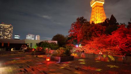 紅葉に染まるテラスで秋の美しい彩りの変化を体感する