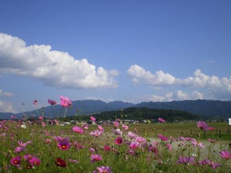 奈良県景観資産パネル展の開催について