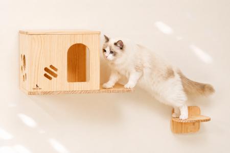 8月8日「世界猫の日」限定！穴あけ不要にゃんウォール