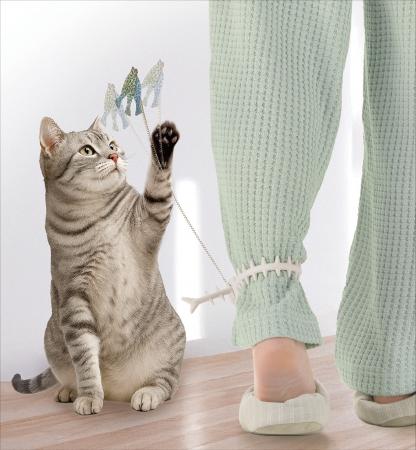 忙しい毎日でも猫との時間を楽しみたい。そんな想いか