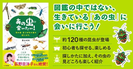お目当ての昆虫を見つけるための、ノウハウと見どころ お目当ての昆虫を見つけるための、ノウハウと見どころ