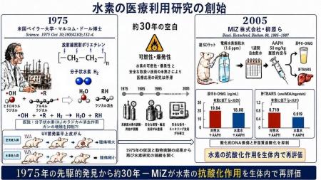 量子化学計算 DFTB+ による H2 × ・OH 反応機構と化学 量子化学計算 DFTB+ による H2 × ・OH 反応機構と化学