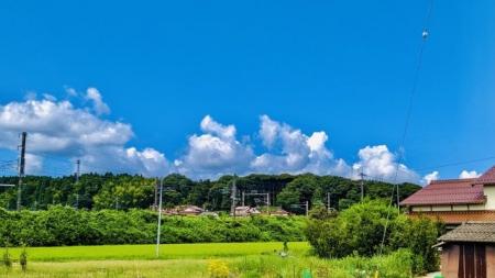 約半数が「今年の夏は帰省しない」と回答！夫婦別々の