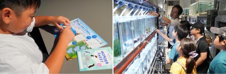 生物たちの進化を学ぶ、夏休みならではの子ども向けプ