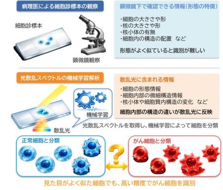 【大阪工業大学】より高精度にがん細胞を見分けutf-8 【大阪工業大学】より高精度にがん細胞を見分けutf-8