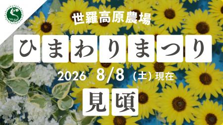 【広島／世羅】ひまわりが見頃を迎えています《世羅高