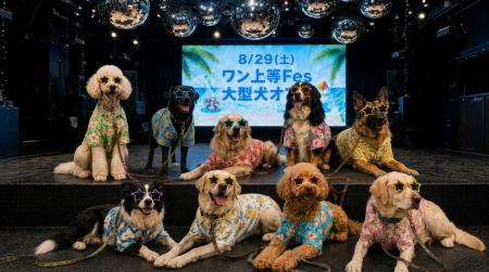 猛暑でも大型犬と快適に遊べる。WHATAWONが室内イベン
