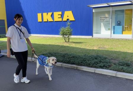国内で数例のみ！IKEA長久手で介助犬パピー（子犬）の