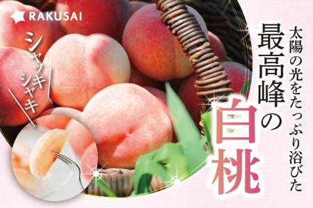 太陽の光をたっぷり浴びた『フルーツ王国 山形の白桃 太陽の光をたっぷり浴びた『フルーツ王国 山形の白桃
