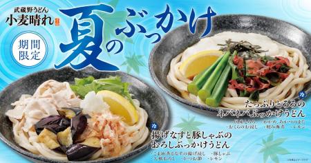 【武蔵野うどん小麦晴れ】暑い季節にぴったりの冷たい
