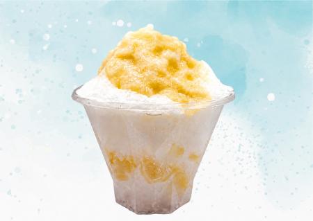 かき氷専門店『しろいくも』北千里より専門店こだわり
