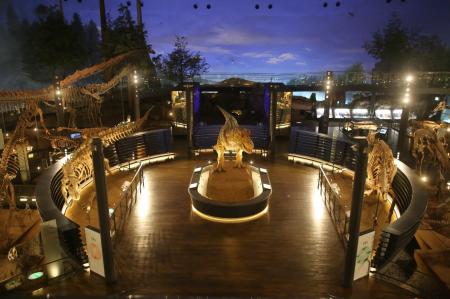 夜の恐竜博物館を貸し切り！「恐竜博物館プレミアムナ
