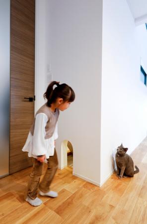 しっくいの壁は、猫にもやさしい。野村工務店がutf-8