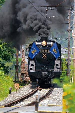 ワイルドナイツと秩父鉄道SLが4年ぶりのコラボ「utf-8