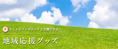 さとふる、復興支援・文化継承につながる地域応utf-8
