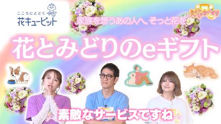 アンタッチャブル柴田さん、矢口真里さん、高橋みなみ