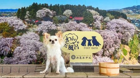 旅行メディア「旅色」で「丹泉ホテル」が提供する宿泊