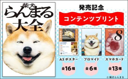 【国宝級のかわいさ】柴犬らんまるのポスター・ブロマ