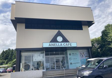 【茨城初上陸】全国42店舗と勢いが止まらない！「ANEL