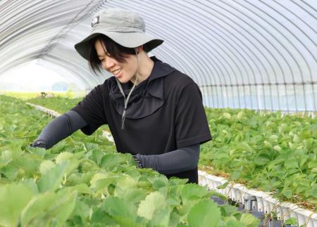 「いつか高根沢で、いちごを。」一人の社員の夢を会社 「いつか高根沢で、いちごを。」一人の社員の夢を会社
