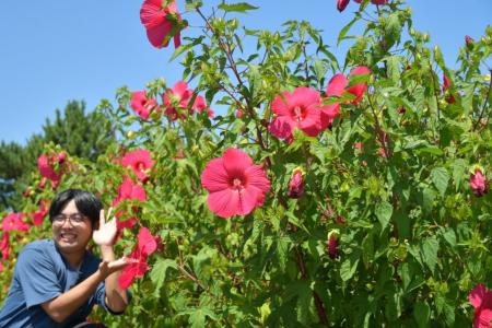 大きな花に思わずカメラを向けたくなる！タイタンビカ