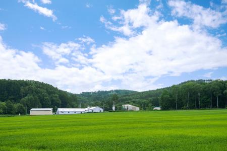 【北海道フロンティアリーグ公式戦】KAMIKAWA・士別サ