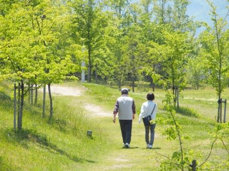 森林の再生では、植樹にとどまらず、その後の育成...