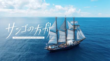 【活動報告&映像公開】2025年9月に実施した「サンゴ 【活動報告&映像公開】2025年9月に実施した「サンゴ