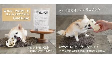 RelicグループのLittle Brave One、独自の愛犬用おや